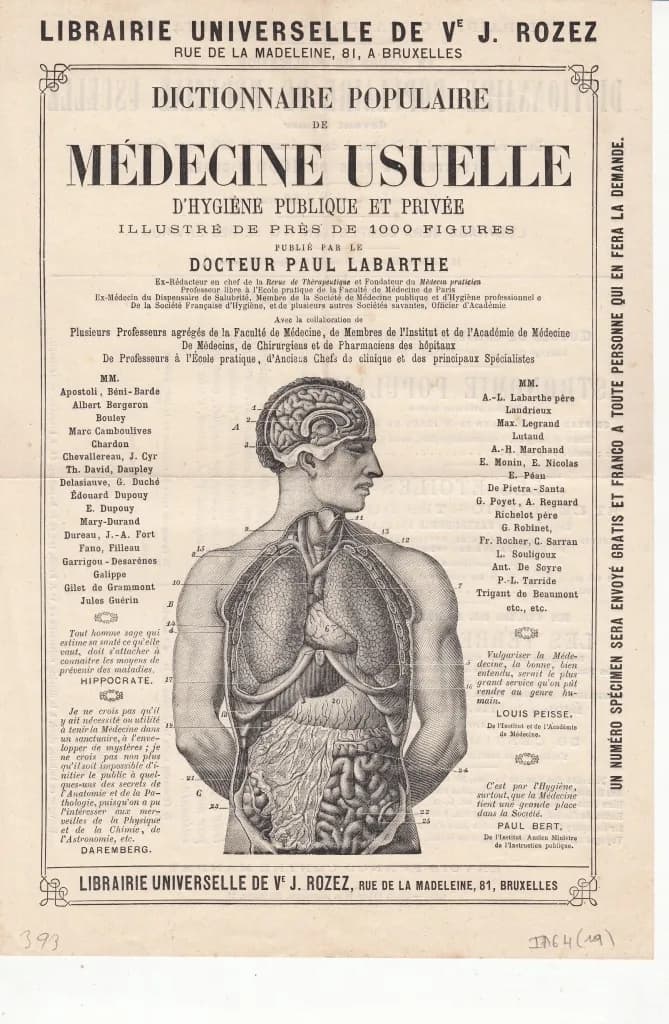 Rinoplastinin Tarihi: Sushruta'dan Piezo Rinoplastiye 2.500 Yıllık Yolculuk
