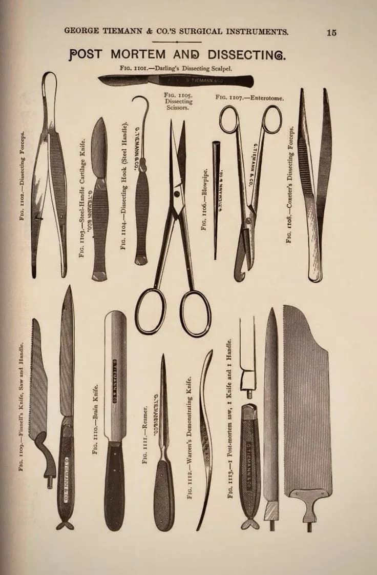 Jacques Joseph — Modern Rinoplastinin Babası